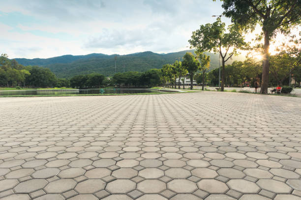 Residential Paver Driveway in Midway North, TX